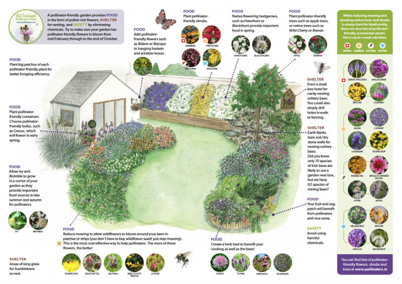 All Ireland Pollinator Plan